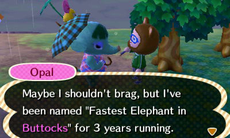 Local Color: An Animal Crossing New Leaf Interview | VG247