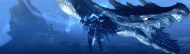 Image for Monster Hunter Tri servers will be shutdown at the end of April 