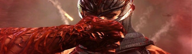 Image for Ninja Gaiden 3: Razor's Edge to be Wii U launch title