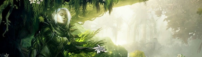 Image for Guild Wars 2 China release confirmed