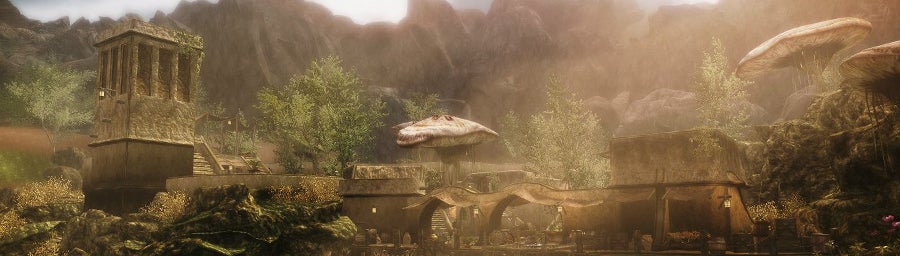 Image for Skywind trailer shows off latest improvements to Morrowind-reconstructing Skyrim mod