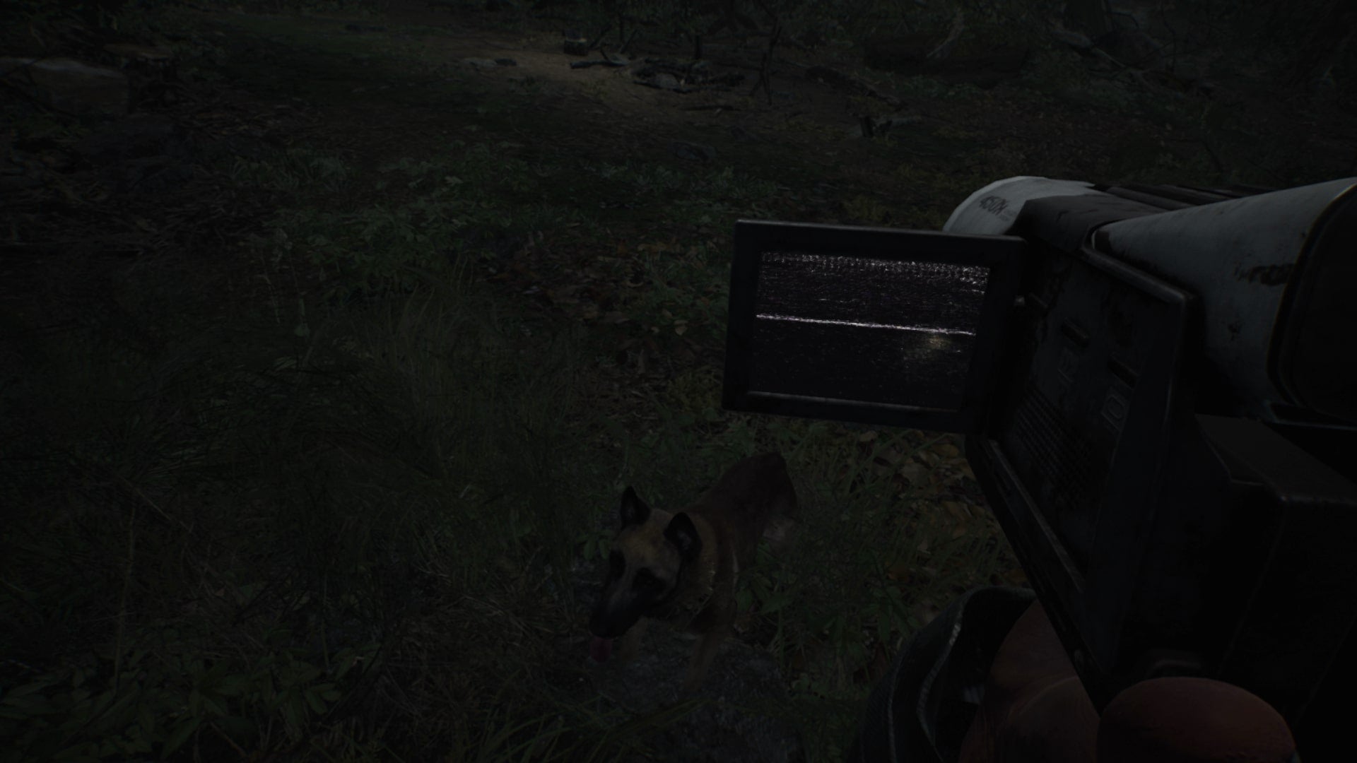 Blair Witch Game Endings How to Get the Good, Bad and Secret Endings