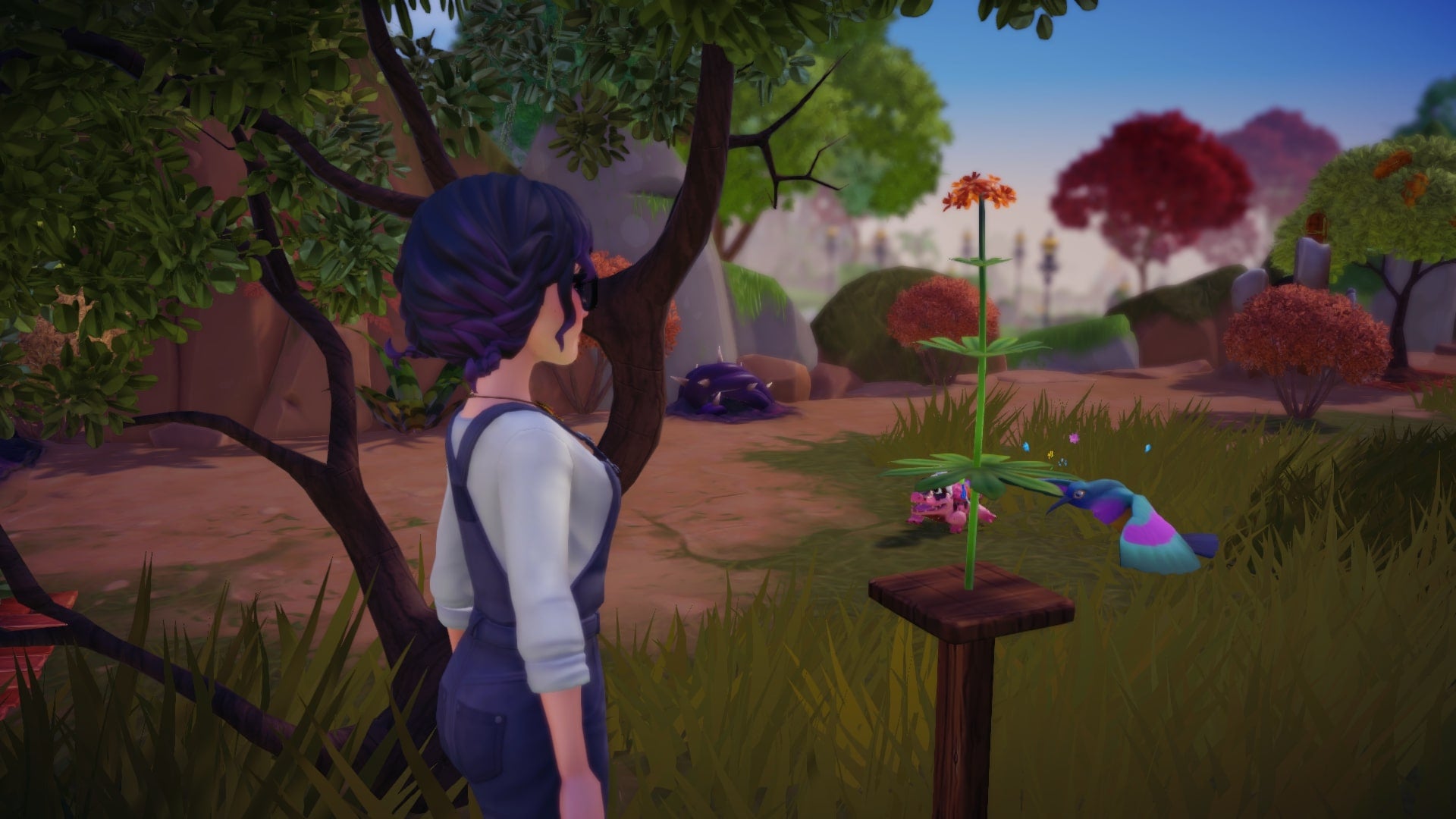A player looking at a sunbird in Disney Dreamlight Valley