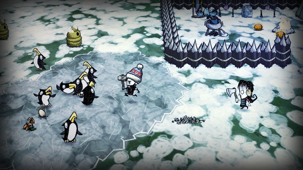 Two players run towards a group of penguins in Don't Starve Together.