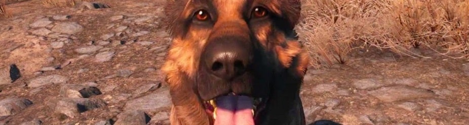 Image for Fallout 4: Unlimited S.P.E.C.I.A.L. Points Cheat
