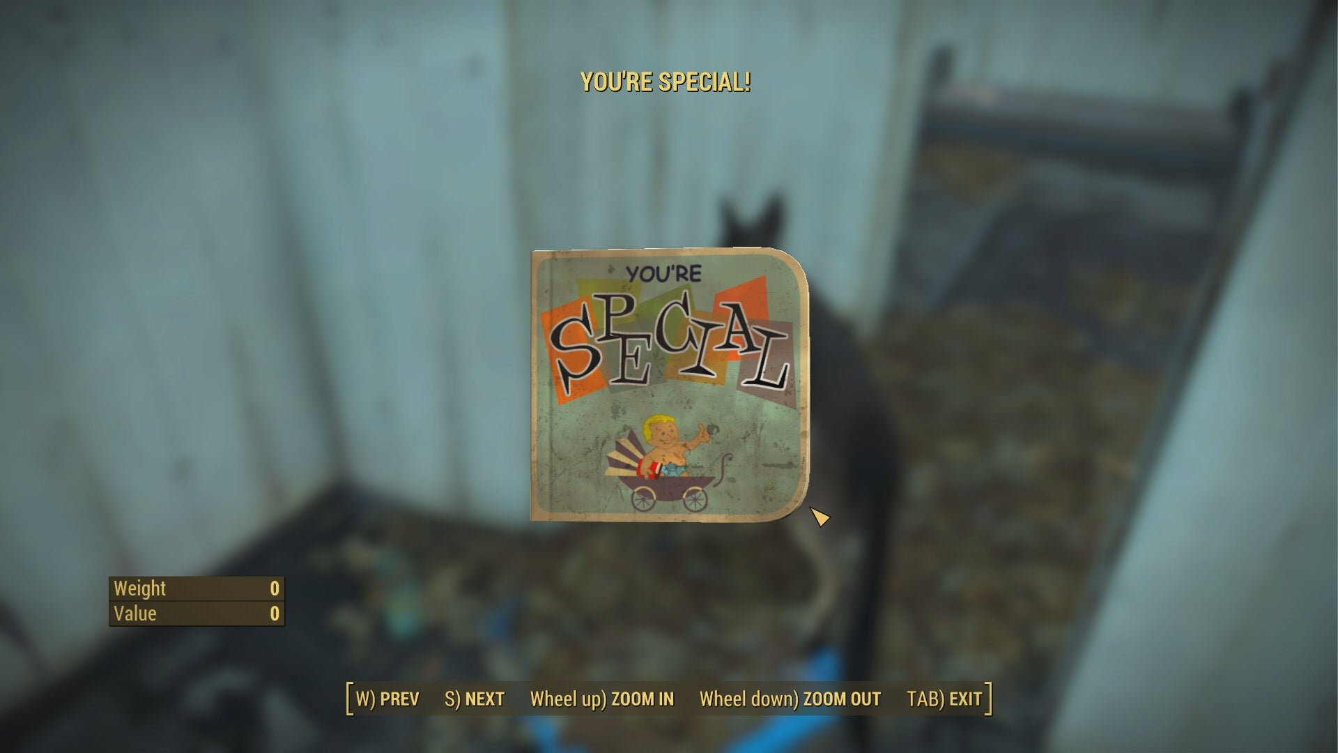 Fallout 4 что такое special фото 62