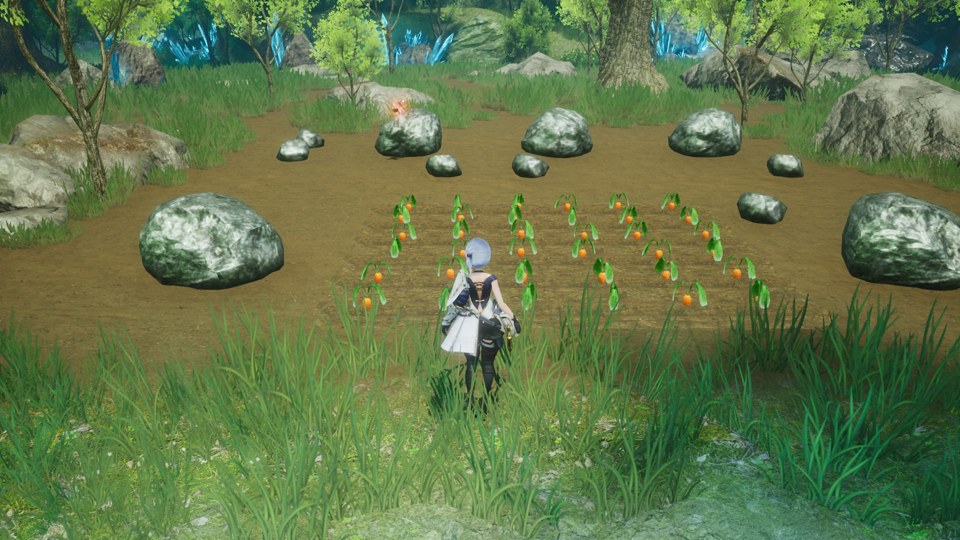The player looks at their farm in Harvestella
