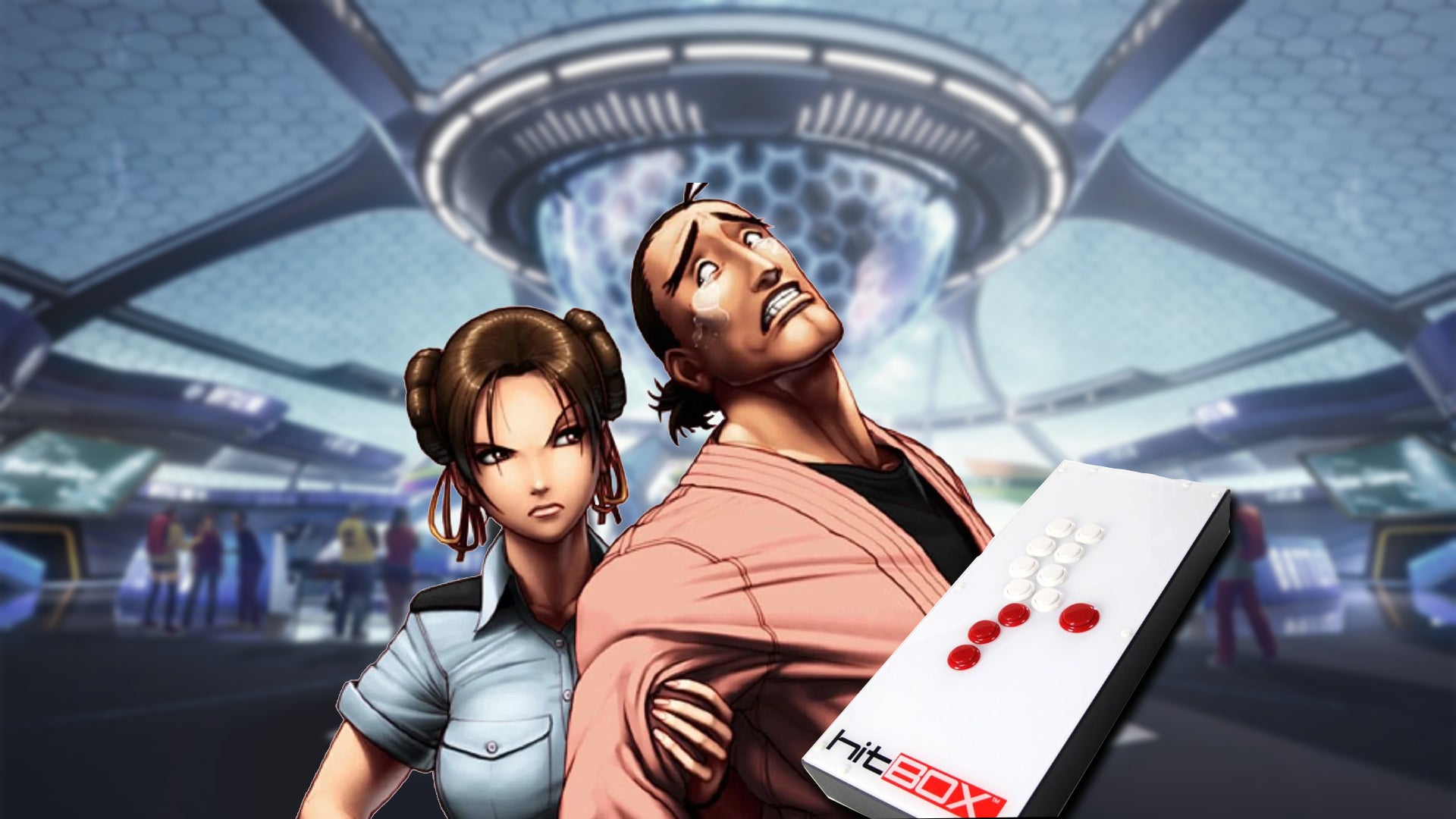 Custom header for the Hitbox and Street Fighter 6