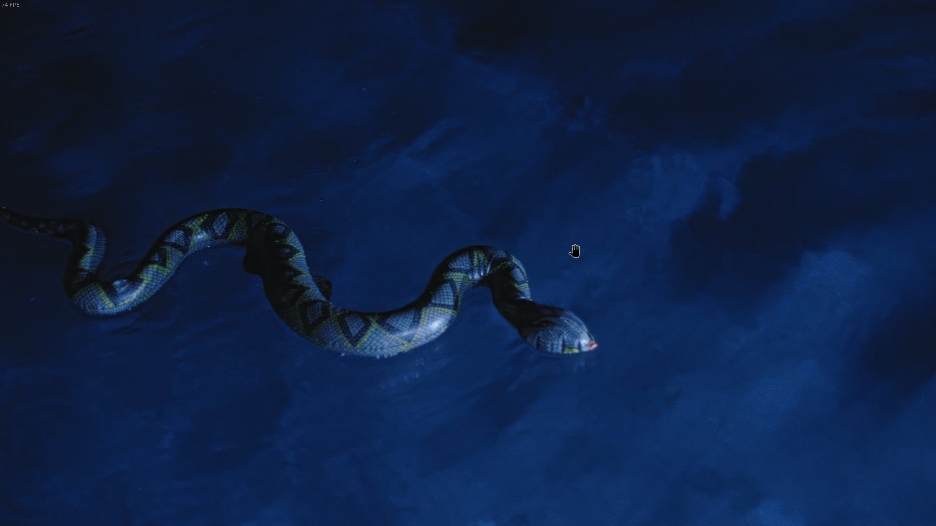A snake floats in the pool of third Marissa Marcel film, Two of Everything, in Immortality