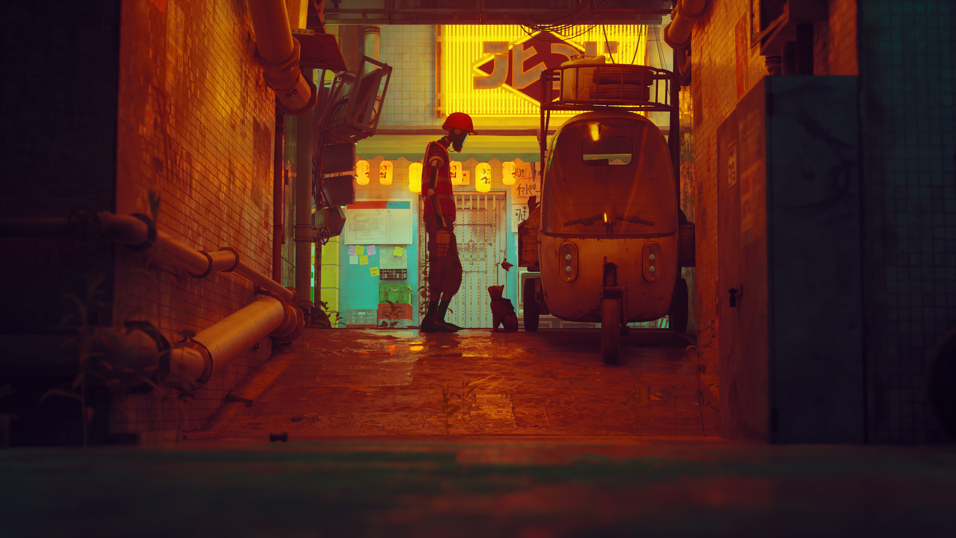 Cat game developers flock to support Stray's release, and you should too - Vimarsana News