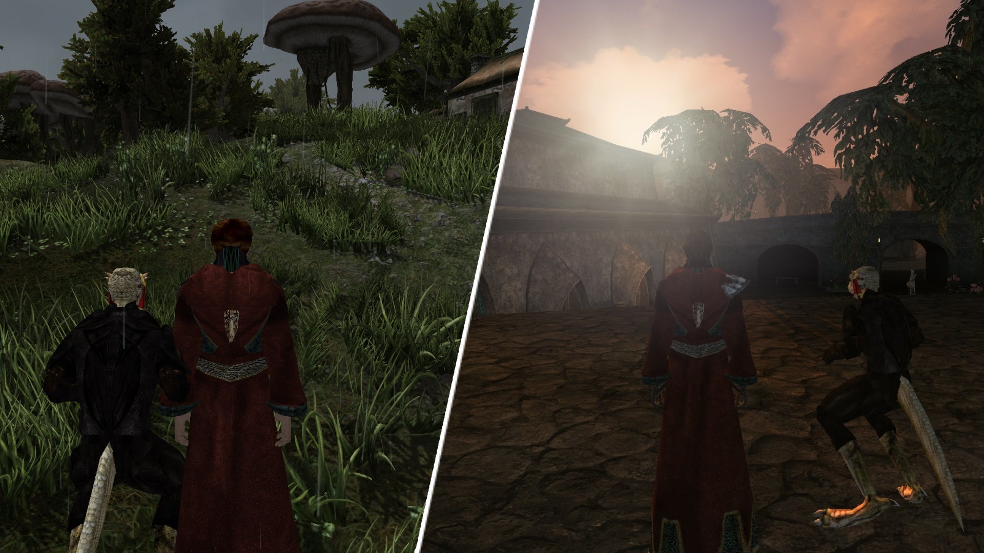 The Morrowind multiplayer mod shows why Elder Scrolls 6 needs multiplayer - Vimarsana News