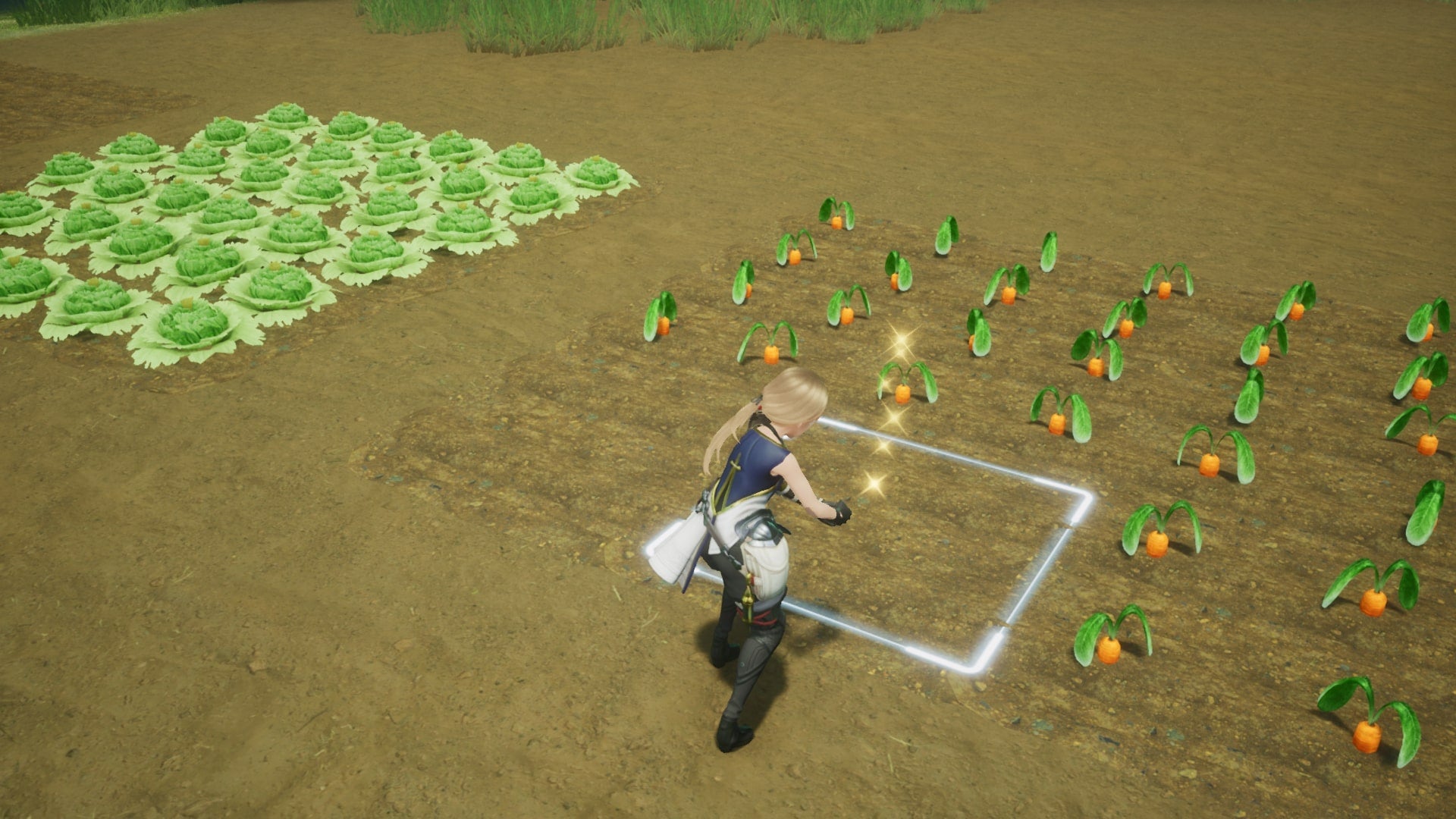 Harvestella s Best Crops - 75
