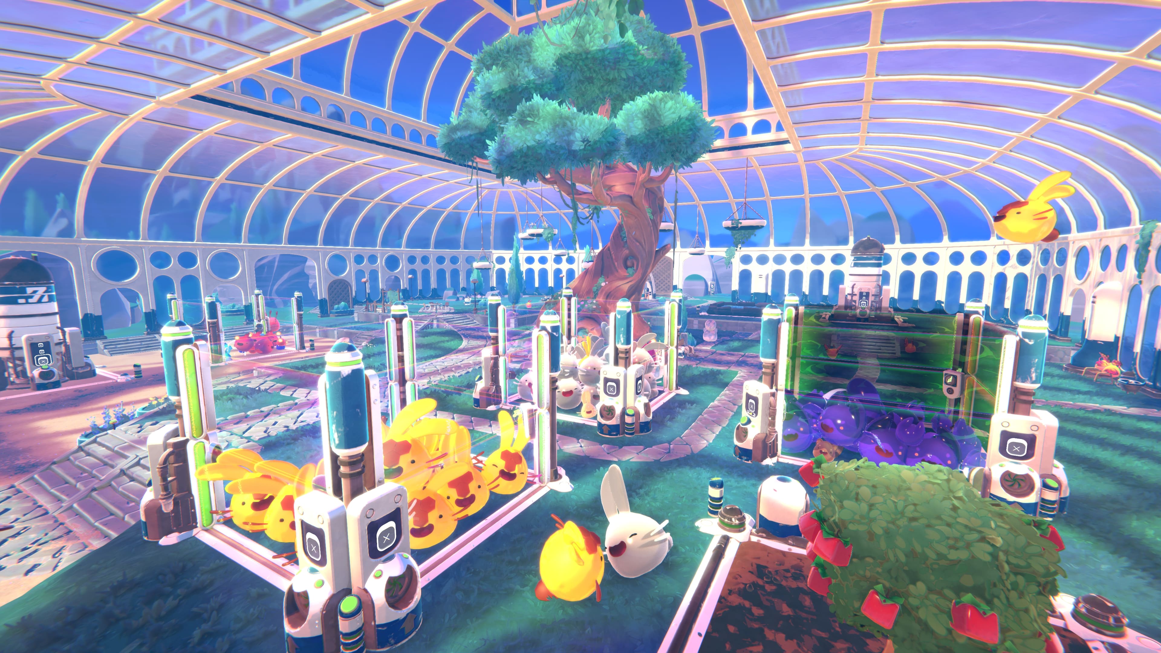 Image for Slime Rancher 2: Where to find and how to breed chickens