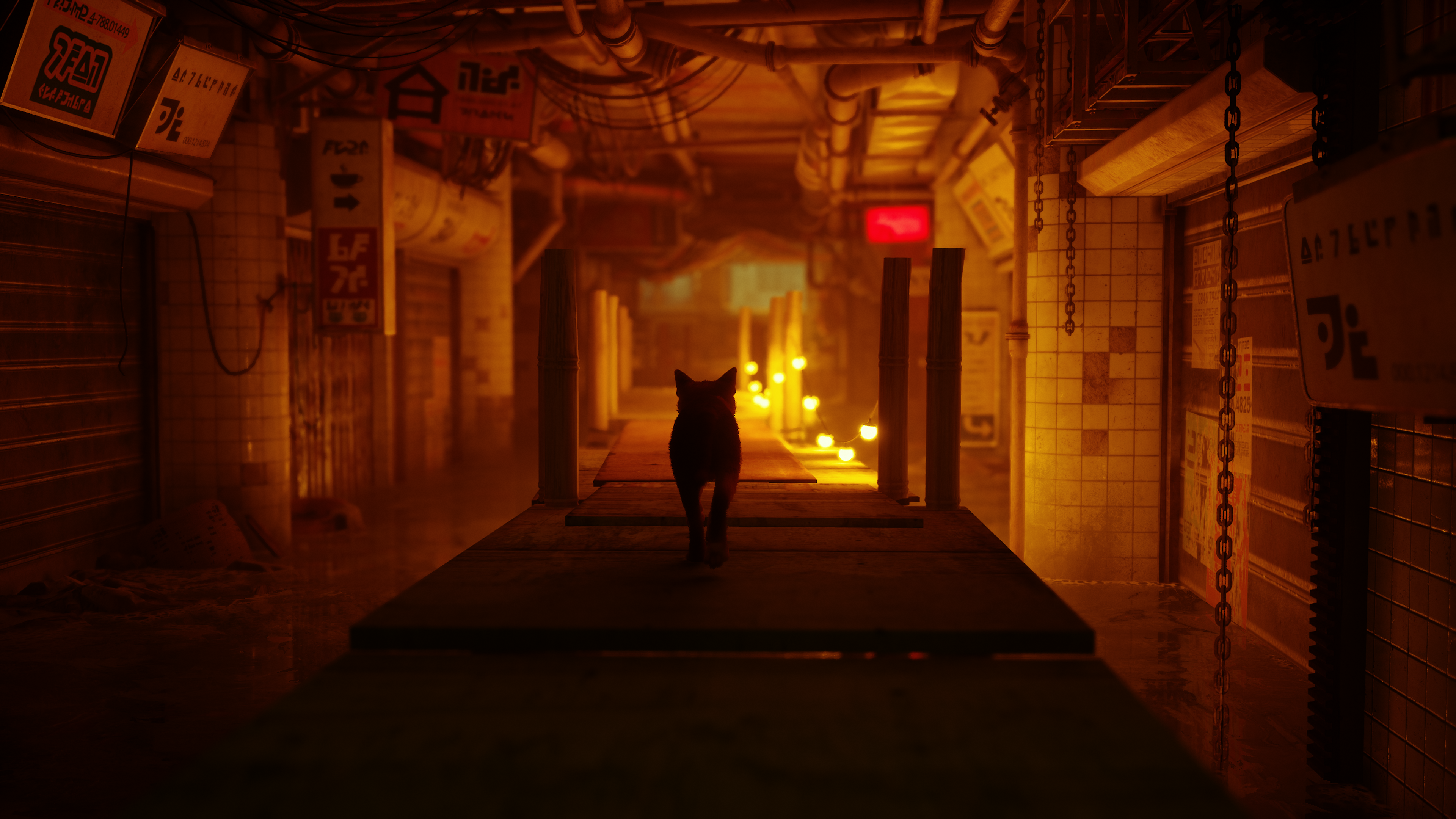 Stray игра. Stray игра 2022. Стрэй игра. Stray download. Stray игра ps4.
