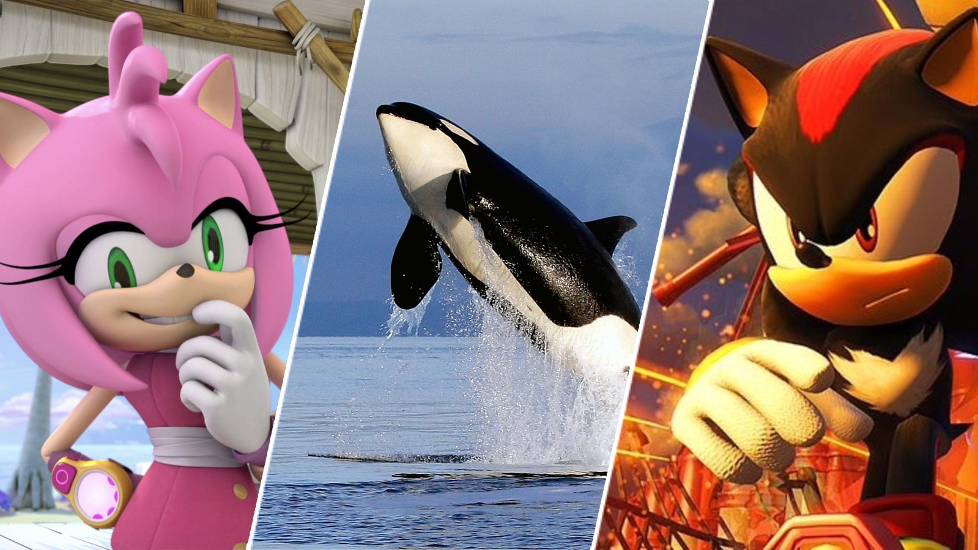 Image for 5 things that should be in the Sonic the Hedgehog 3 movie