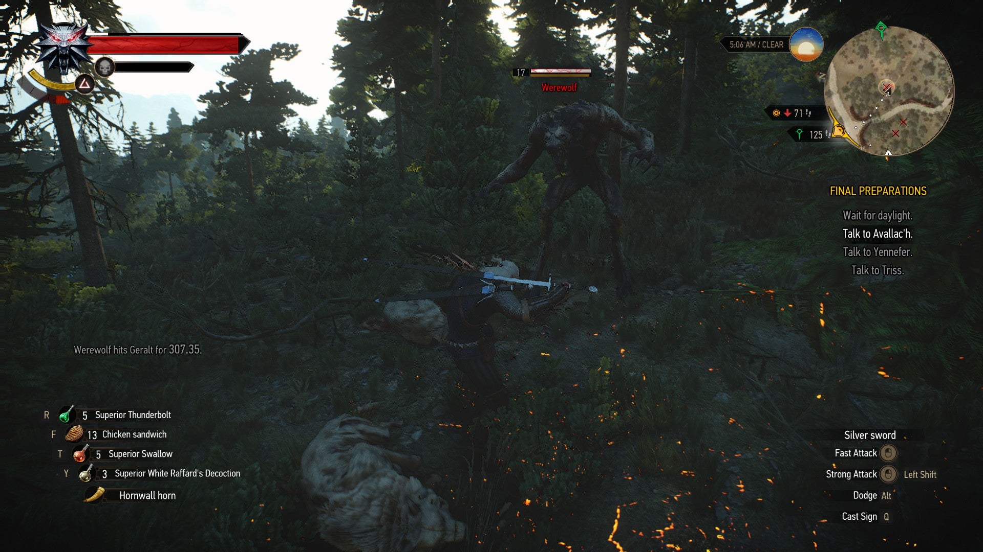 Witcher 3  How to Defeat Werewolves and Stop Their Health Regen Ability - 48