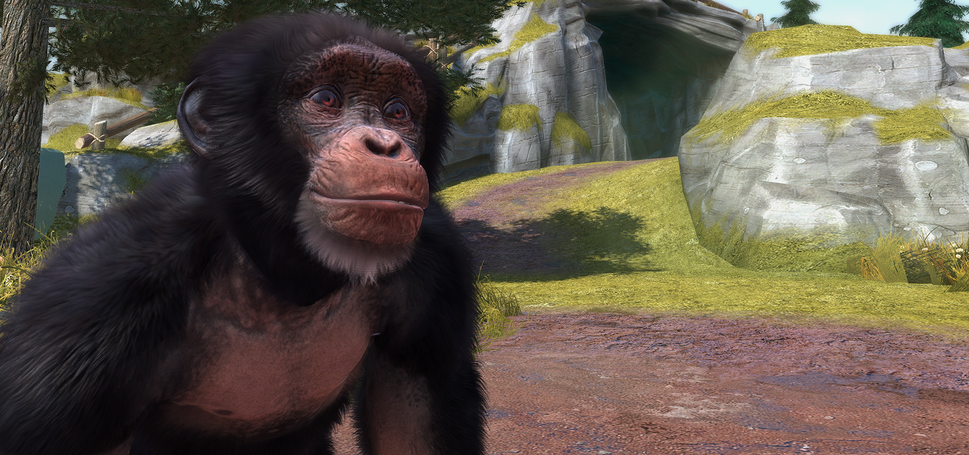 Zoo Tycoon: An Unlikely Treat from Xbox One's Launch Lineup | VG247