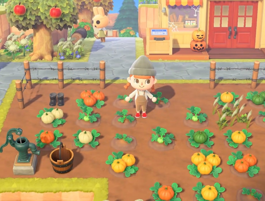 Image for Animal Crossing: New Horizons Pumpkin guide - How to grow different colours and find all the DIY recipes