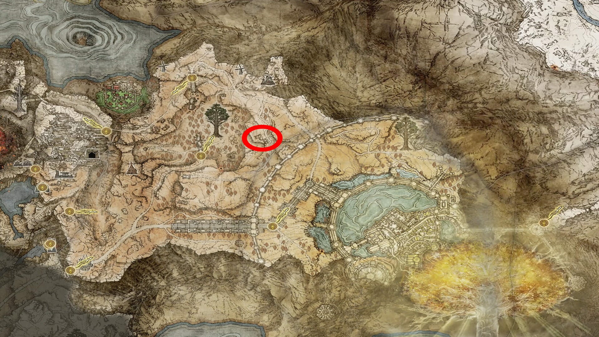 How to respec and reset stats in Elden Ring  Where do you find Larval Tears  - 50