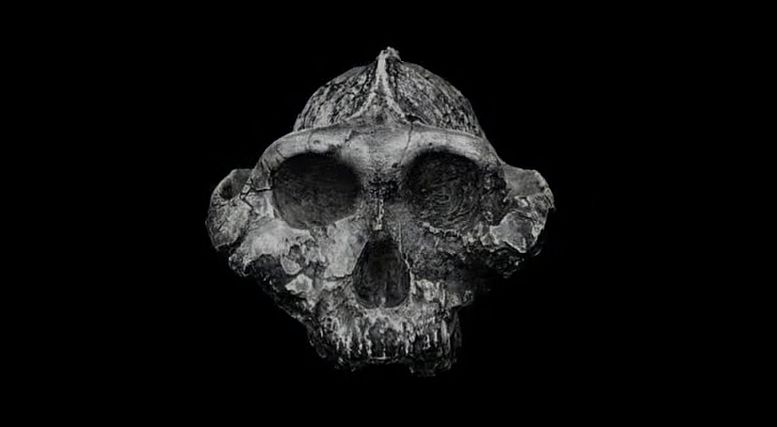 Image for Ancestors: The Humankind Odyssey reviews round-up, all the scores