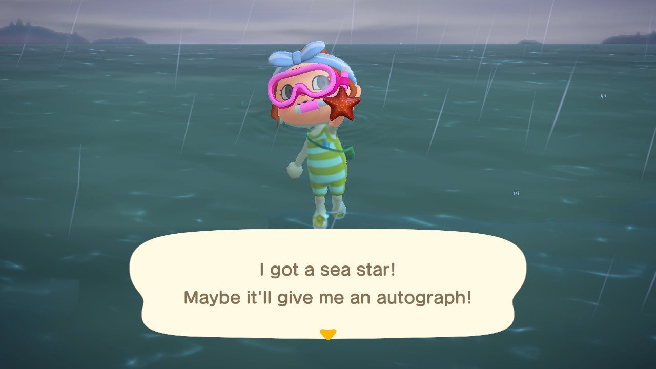 How much is a chambered nautilus worth in animal crossing