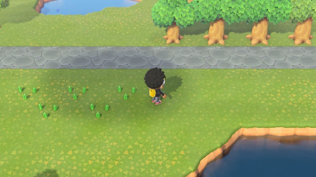 Animal Crossing New Horizons Hybrid Flowers Crossbreeding And Prices Vg247