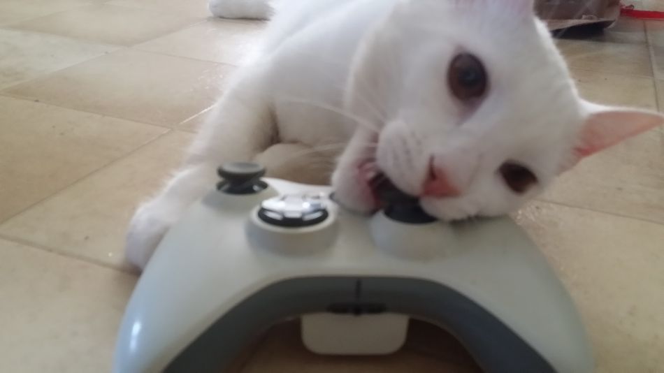 What are you playing this weekend - 92