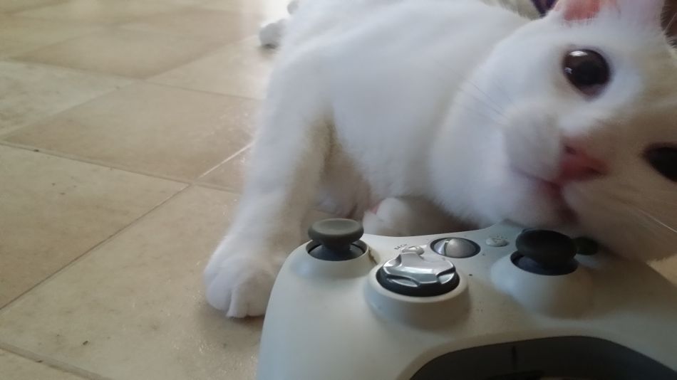 What are you playing this weekend - 99