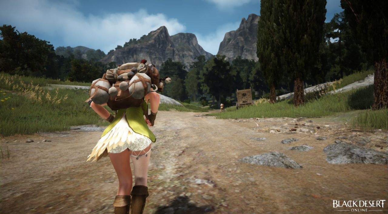 Image for Black Desert Online: which is the best class to use?