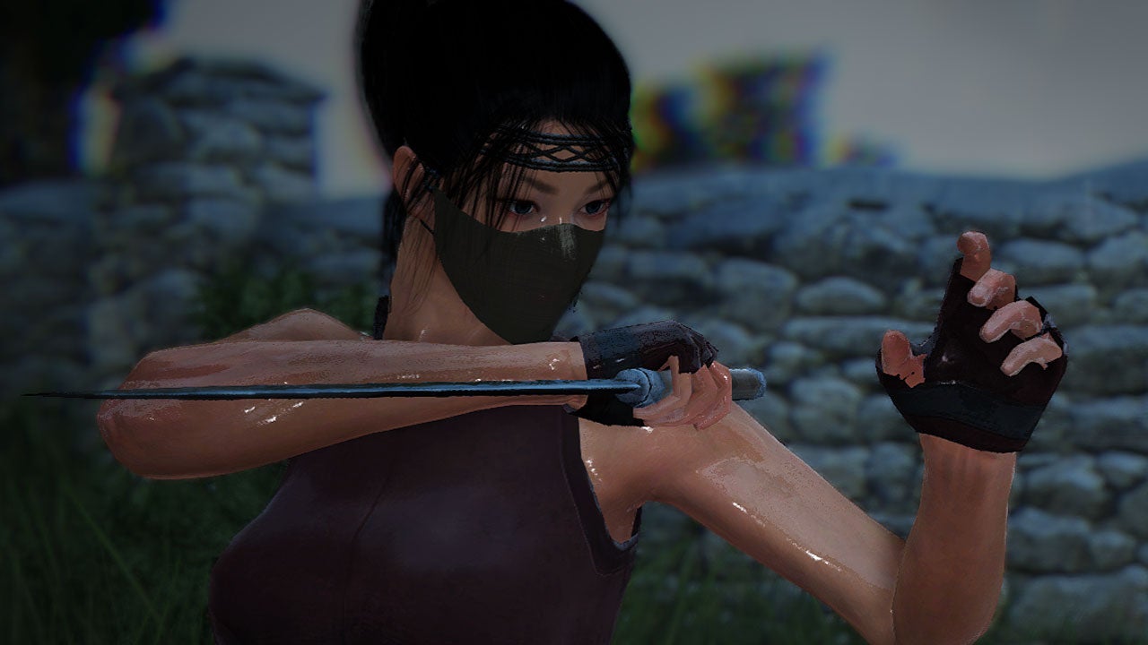 Ninja And Kunoichi Sneak Into Black Desert Online Next Week | Vg247