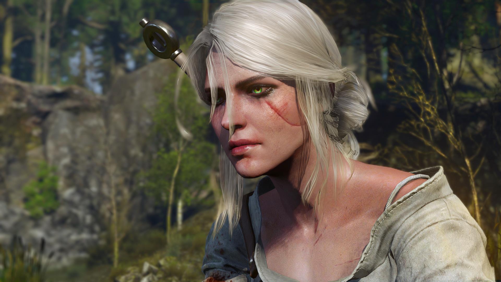 Image for What do you want from the next Witcher game?