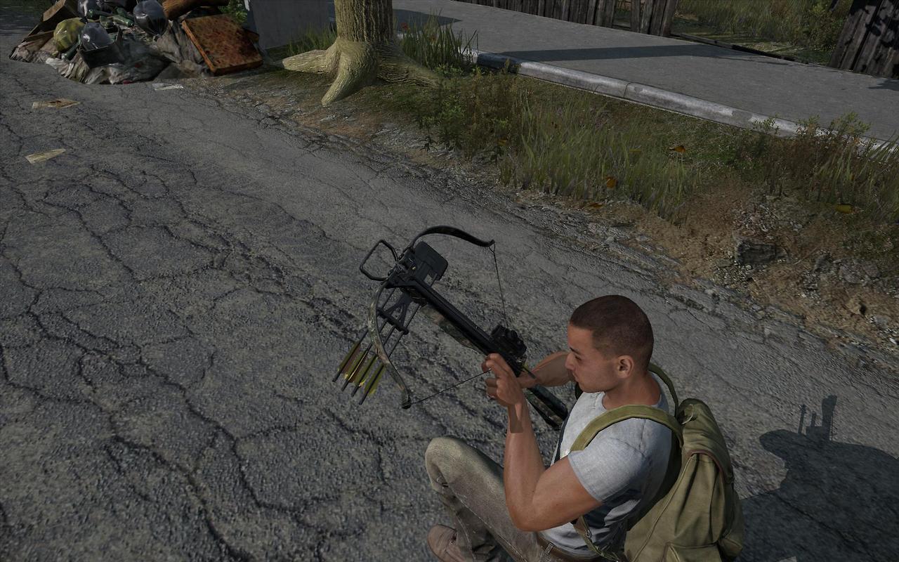 Dayz интересные проекты
