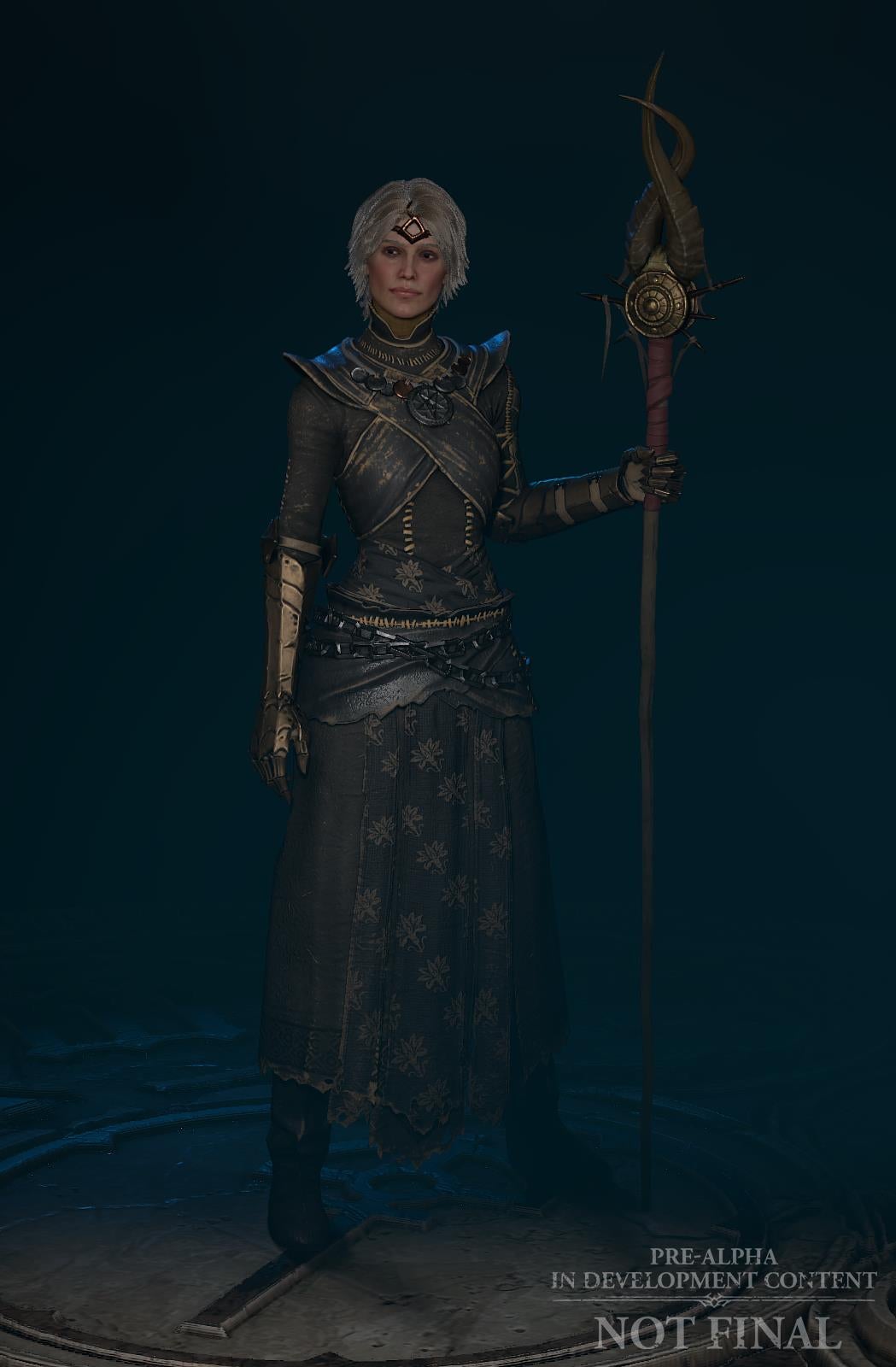 Diablo 4 lets you customise your character and their armour - 4