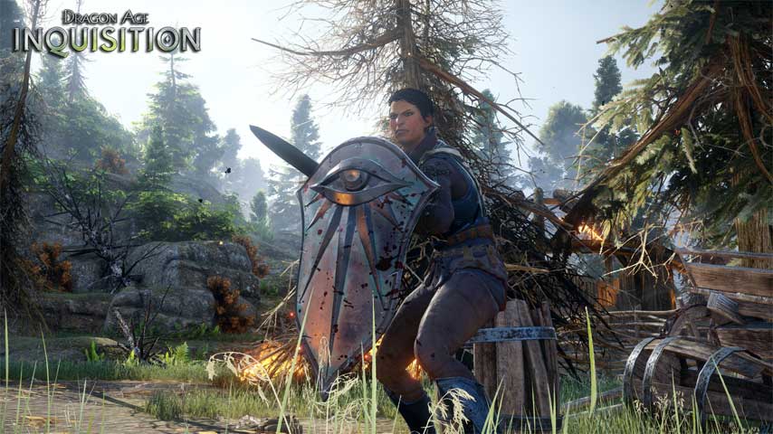 Image for Dragon Age: Inquisition not available in India due to country's obscenity laws