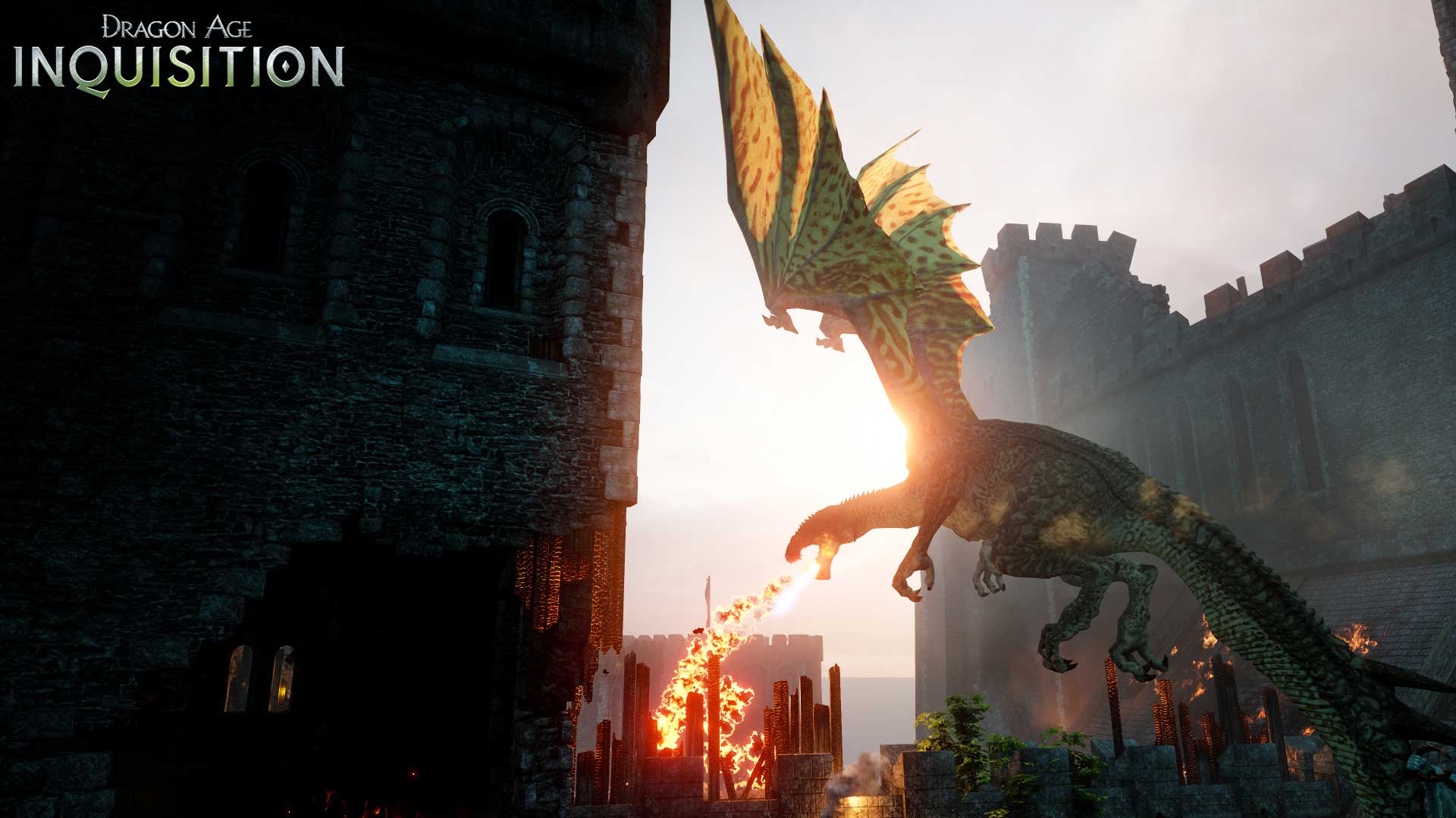 Image for Dragon Age: Inquisition players have slain over 3.4 million dragons; other EA game stats