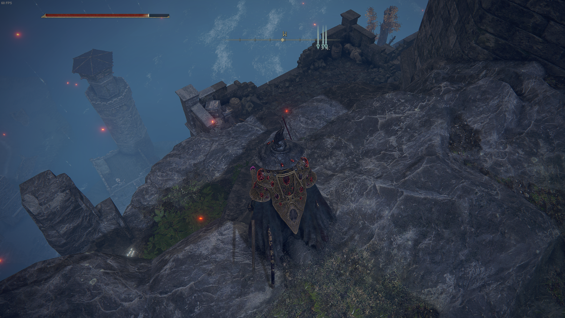 Elden Ring Castle Morne Guide  How to Beat Leonine Misbegotten - 51