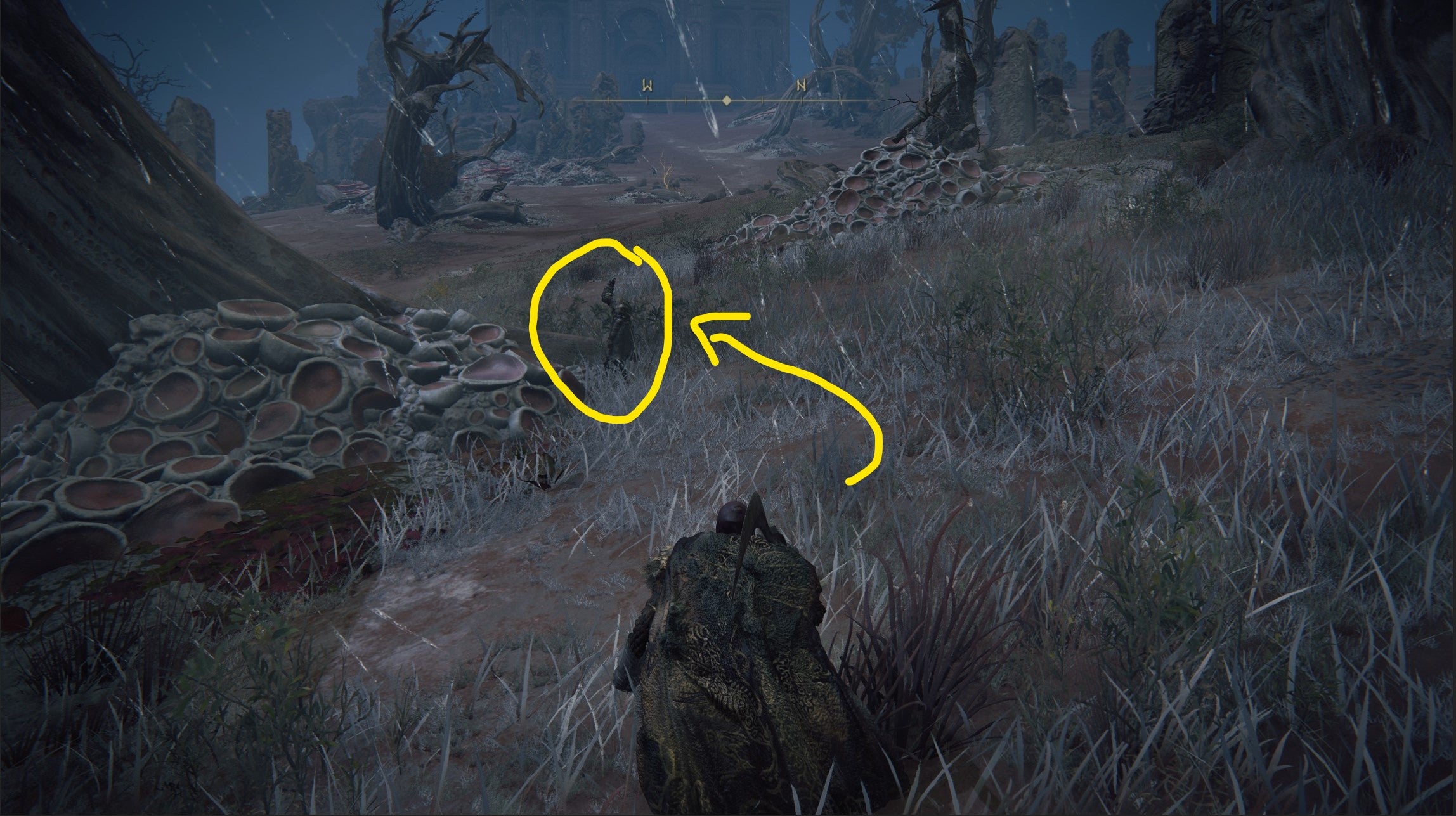 Best Elden Ring rune farming locations - 61