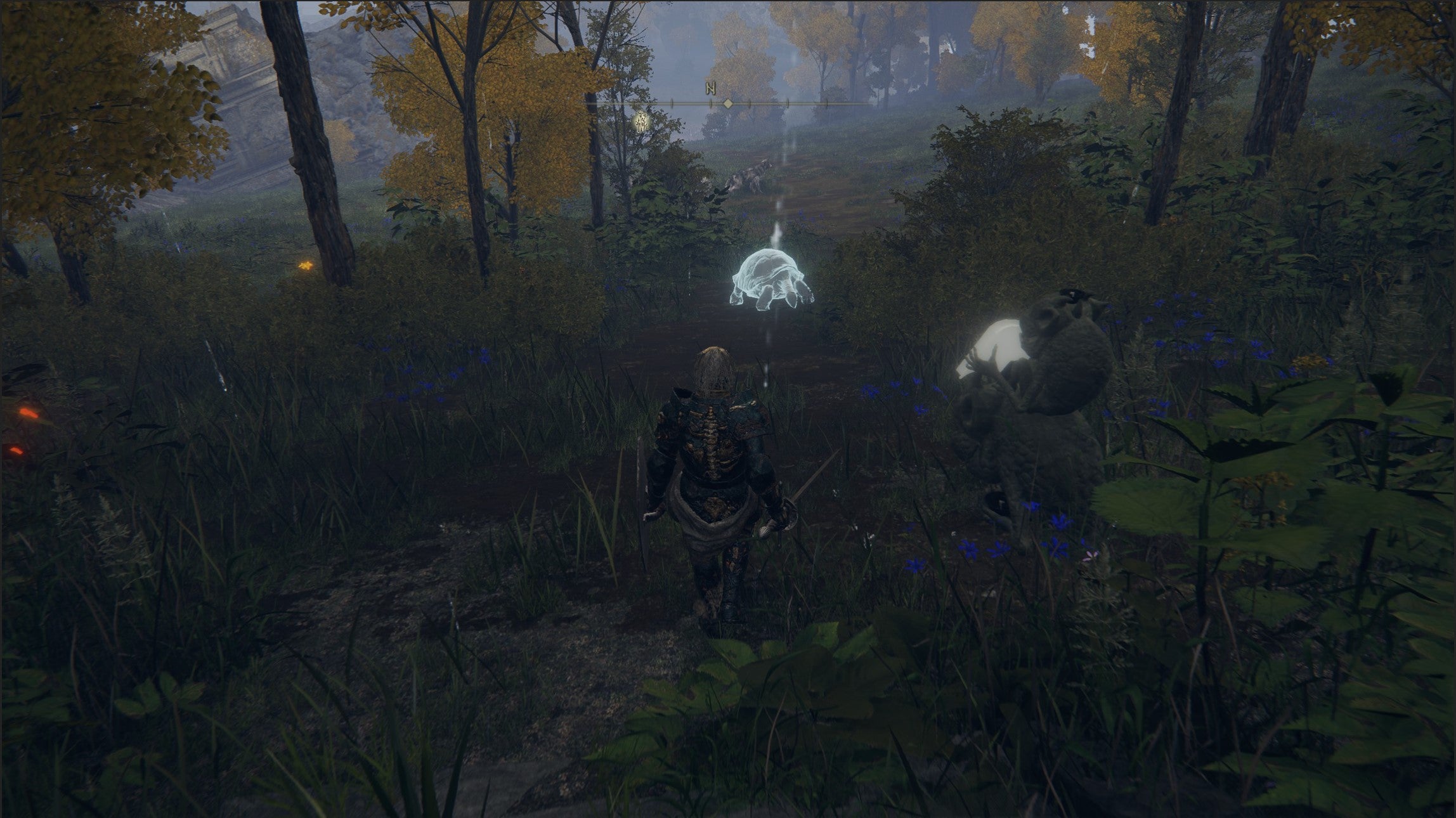 How do you  seek three wise beasts  at Oridys s Rise and in Liurnia in Elden Ring  - 43