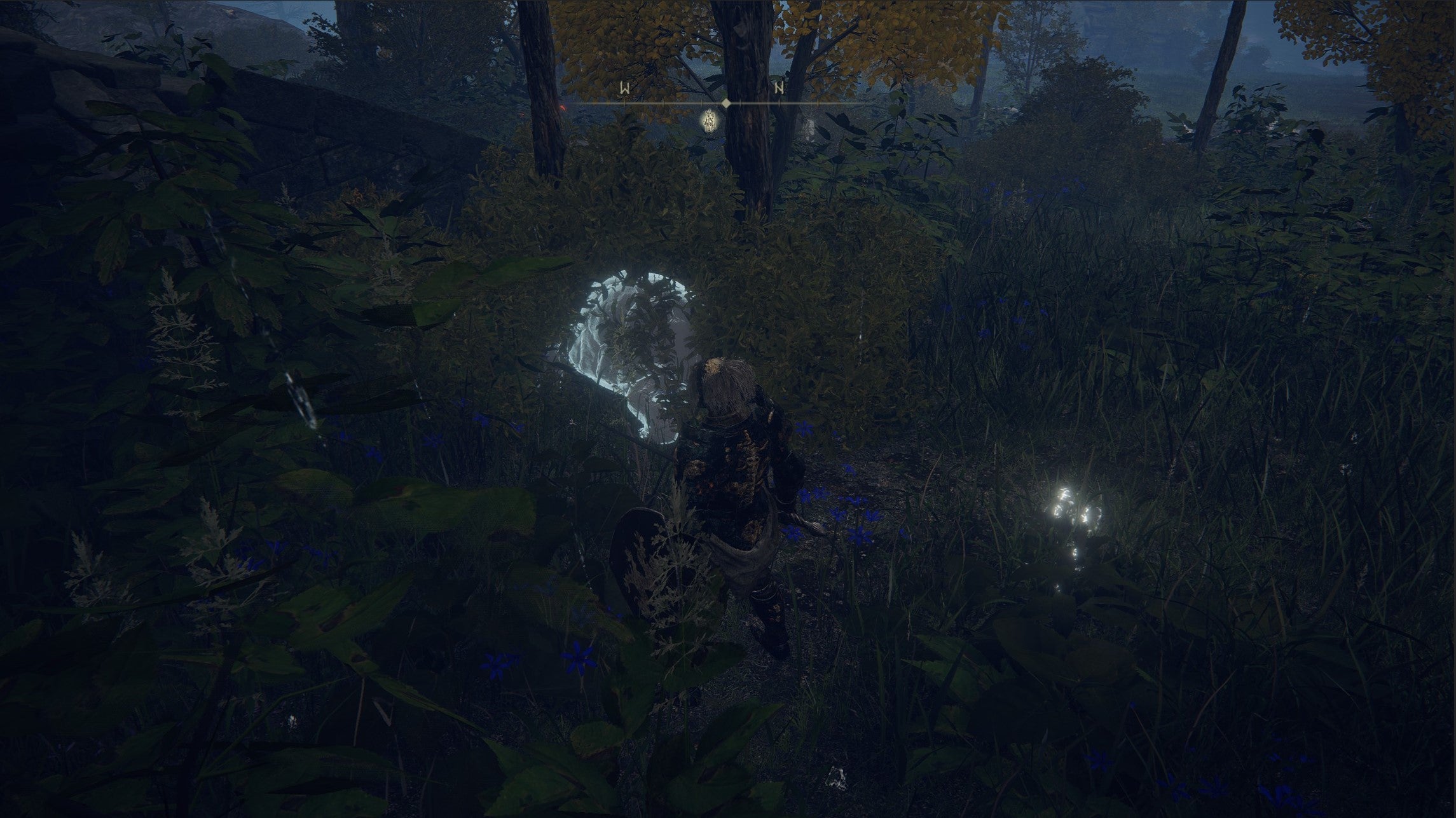 How do you  seek three wise beasts  at Oridys s Rise and in Liurnia in Elden Ring  - 37