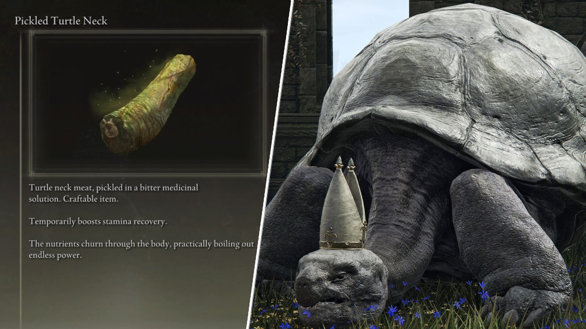 Elden Ring's turtles are so much more than grade-A meme fodder - Vimarsana News