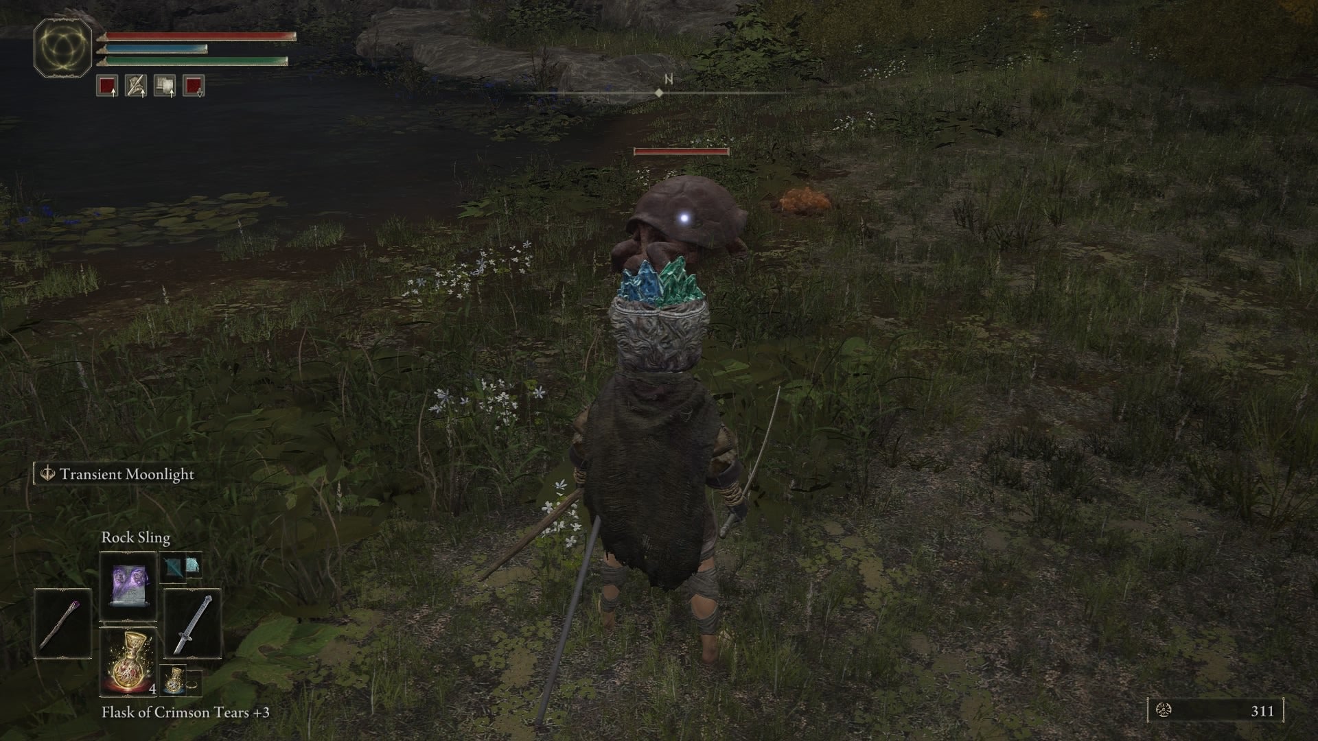 Elden Ring s turtles are so much more than grade A meme fodder - 57