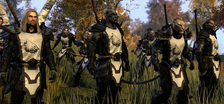 Image for The Elder Scrolls Online update focuses on guilds and personalisation