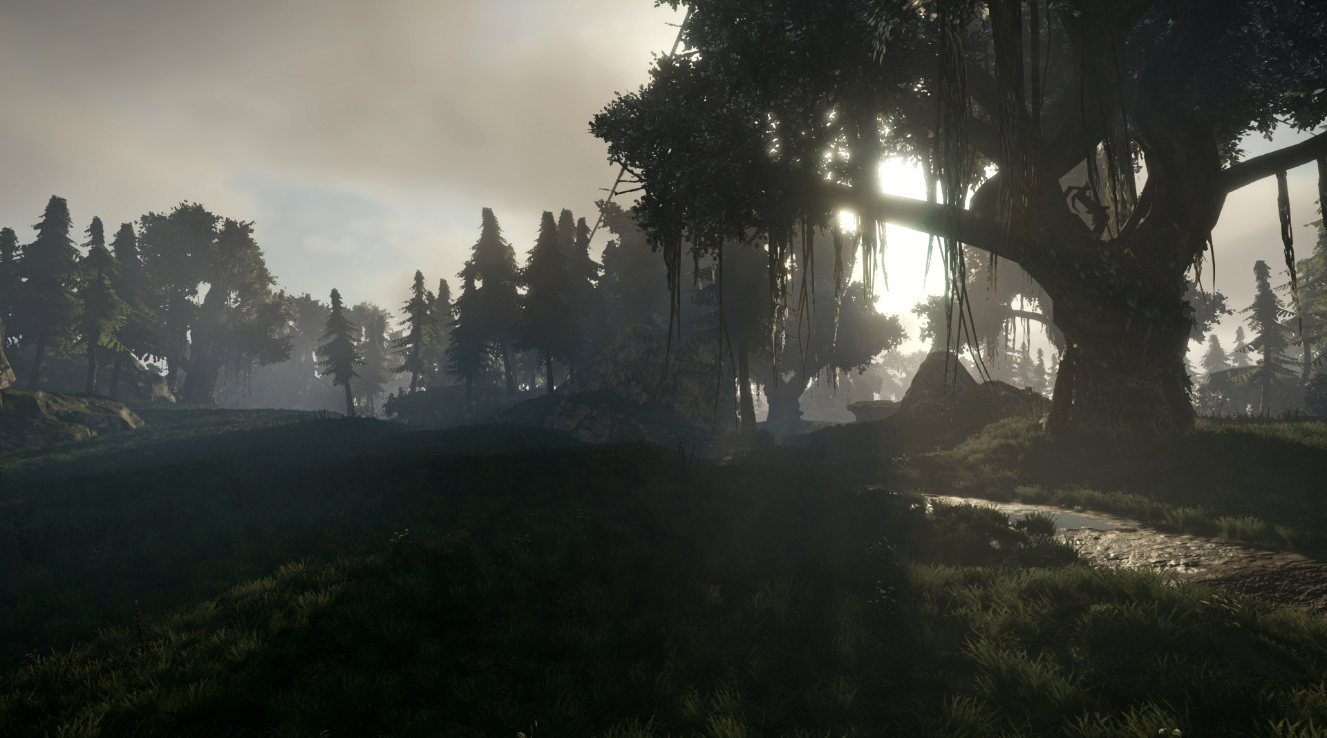 elex 2 initial release date