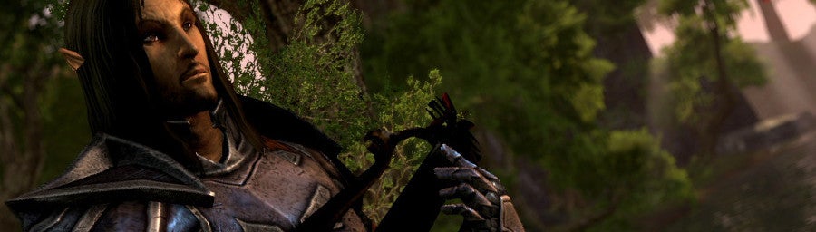 Image for Elder Scrolls Online developer video explores group content