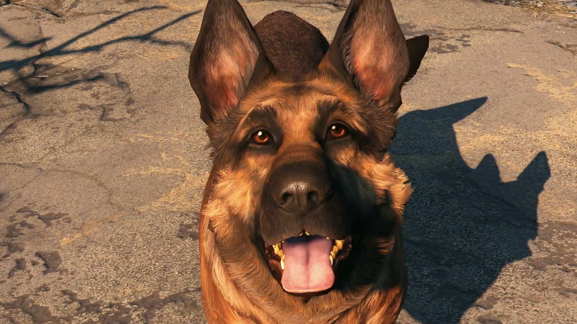 Image for Fallout 76 is getting pets