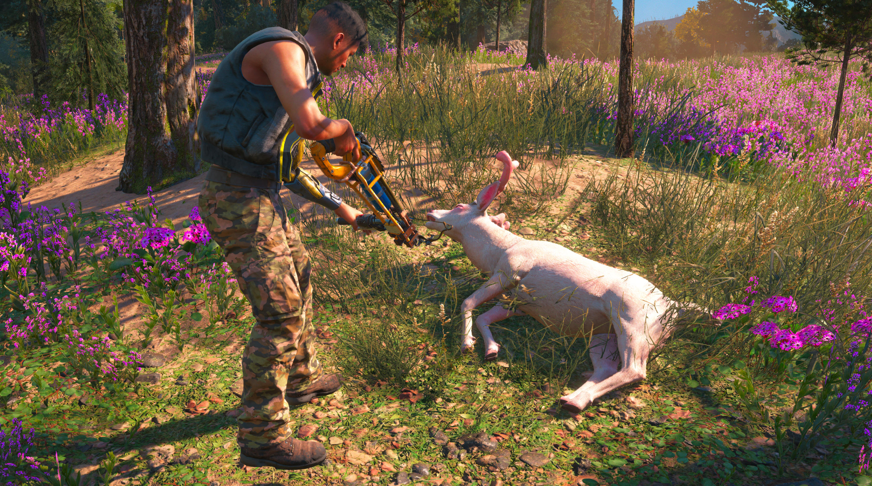 Drop kickin' a chicken: the strange history of animal abuse in Far Cry |  VG247