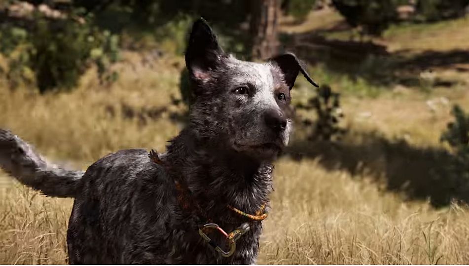 Image for Far Cry 5 is the fastest selling title in franchise with $310 million in sales