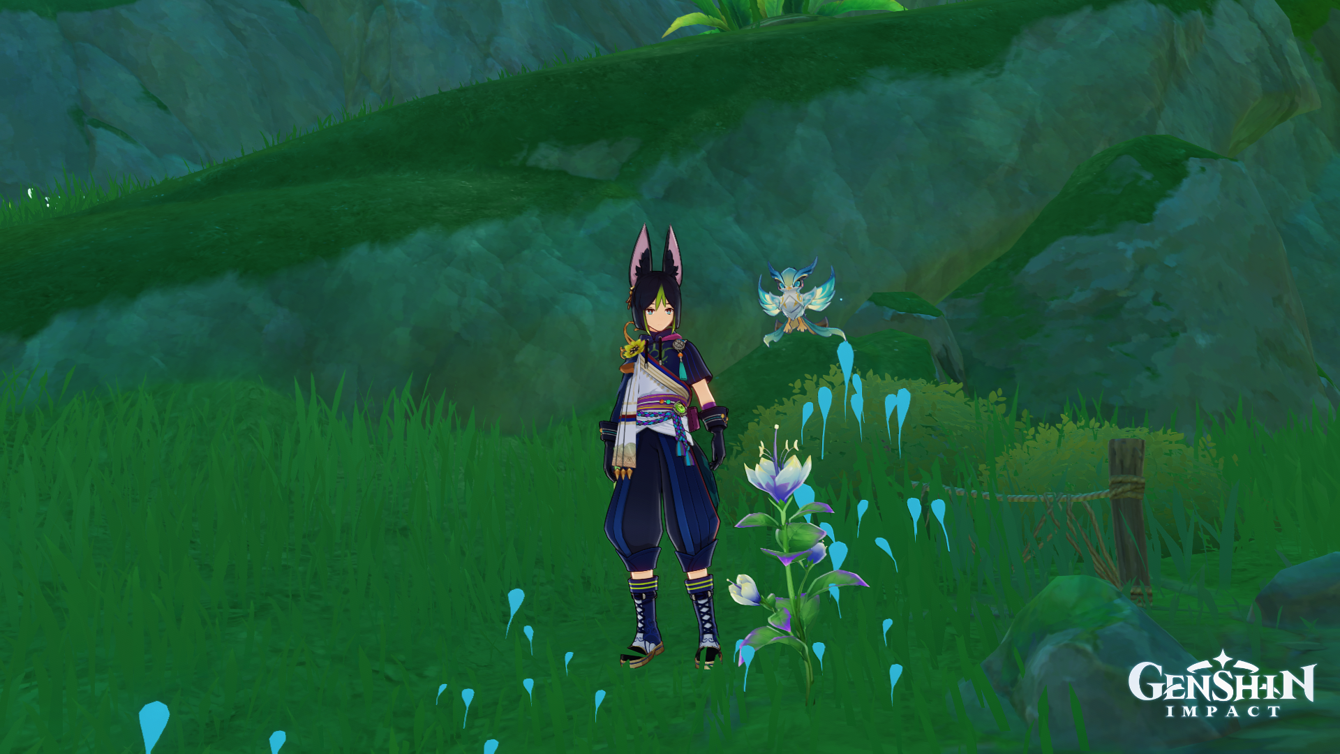 Падисара сумеру геншин. Цветы падисара геншин. Падисары геншин. Цветы геншин. Genshin impact падисара.