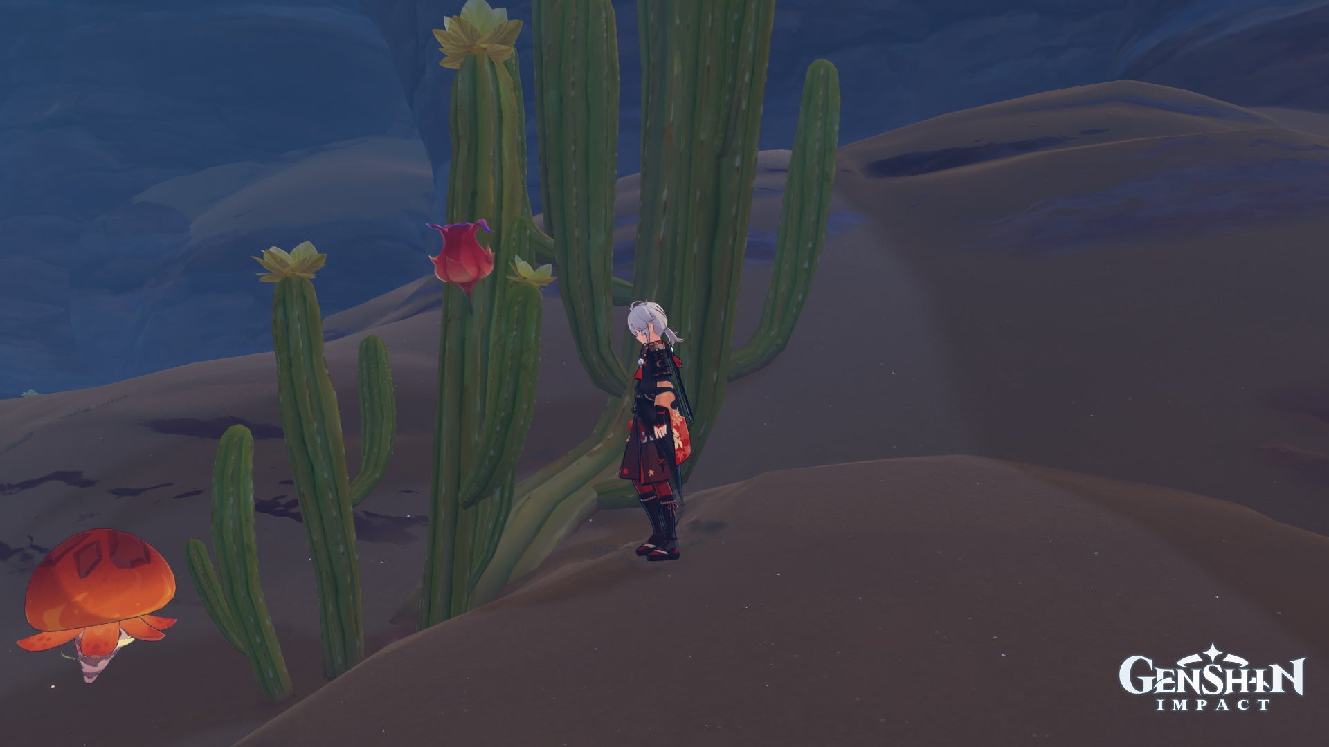 Genshin Impact Redcrest locations: An anime man with silver hair looks at a red fruit on a cactus plant