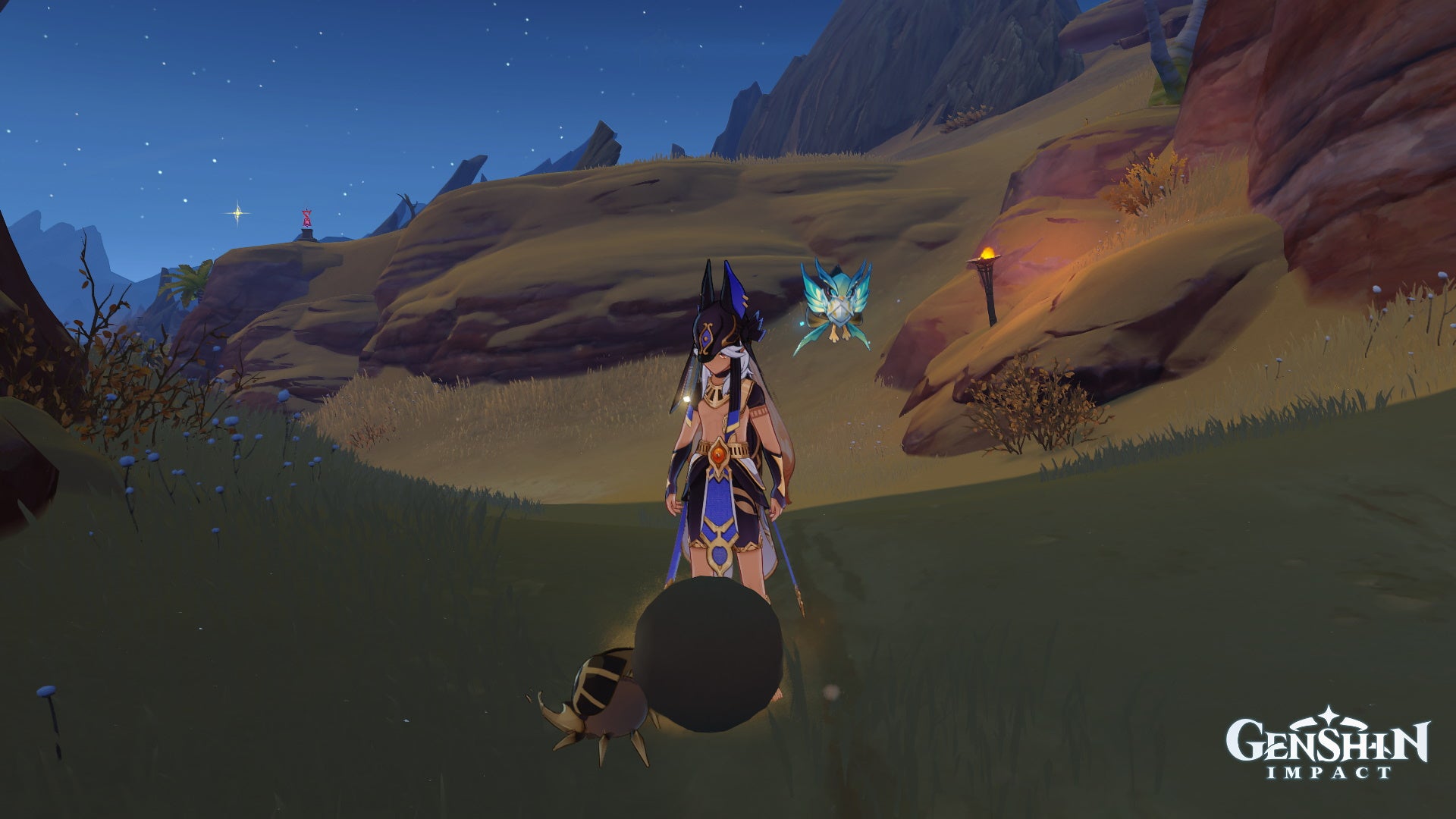 Genshin Impact Scarab locations: An anime man in a wolf hat looks at a scarab beetle